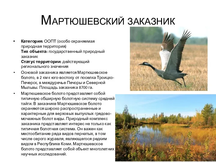 Мартюшевский заказник Категория: ООПТ (особо охраняемая природная территория) Тип объекта: государственный природный