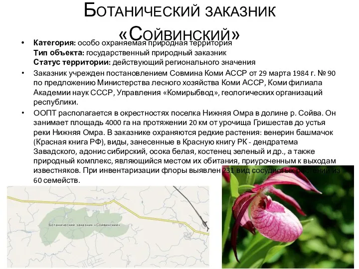 Ботанический заказник «Сойвинский» Категория: особо охраняемая природная территория Тип объекта: государственный природный