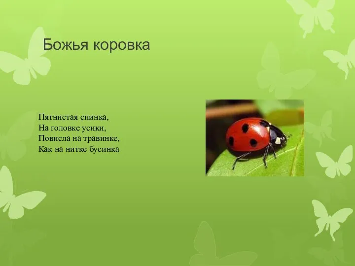 Божья коровка Пятнистая спинка, На головке усики, Повисла на травинке, Как на нитке бусинка