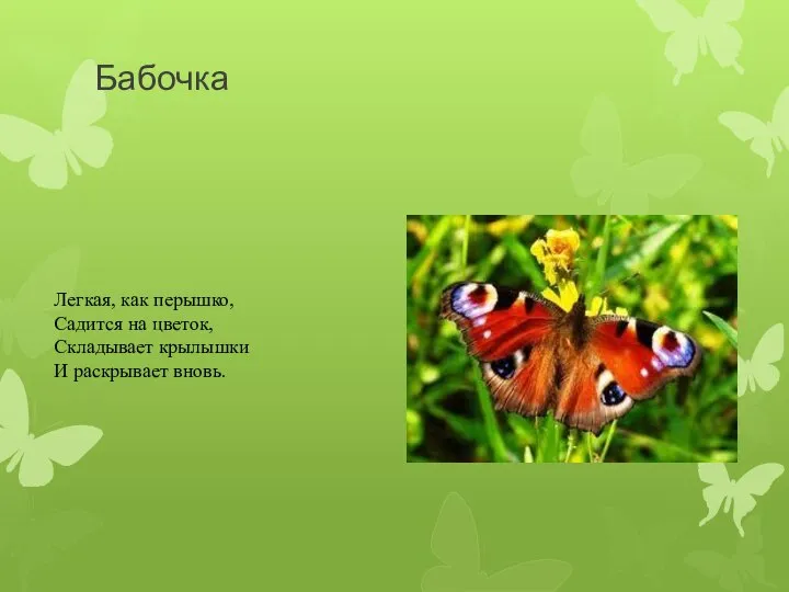 Бабочка Легкая, как перышко, Садится на цветок, Складывает крылышки И раскрывает вновь.