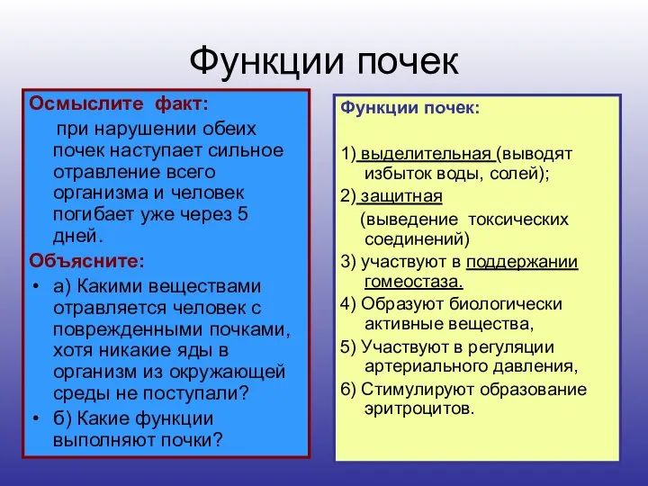 Функции почек Осмыслите факт: при нарушении обеих почек наступает сильное отравление всего