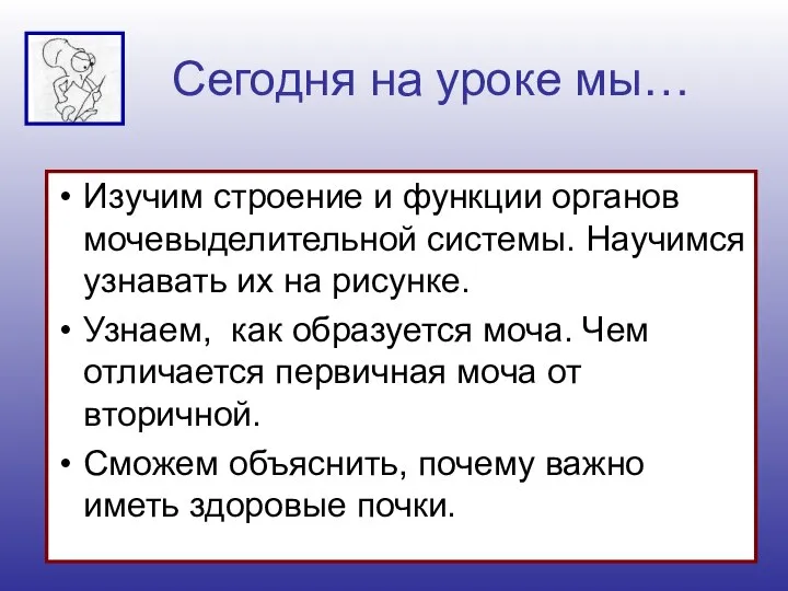 Сегодня на уроке мы… Изучим строение и функции органов мочевыделительной системы. Научимся