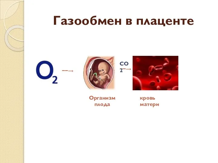 Газообмен в плаценте −−→ −−→ СО2 кровь матери Организм плода