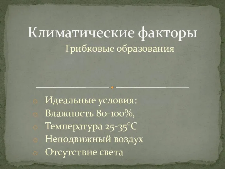 Грибковые образования Идеальные условия: Влажность 80-100%, Температура 25-35°С Неподвижный воздух Отсутствие света Климатические факторы