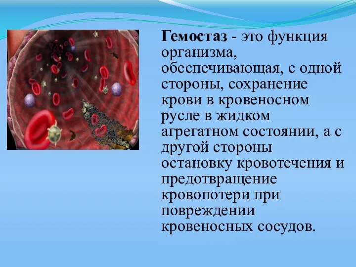 Гемостаз - это функция организма, обеспечивающая, с одной стороны, сохранение крови в