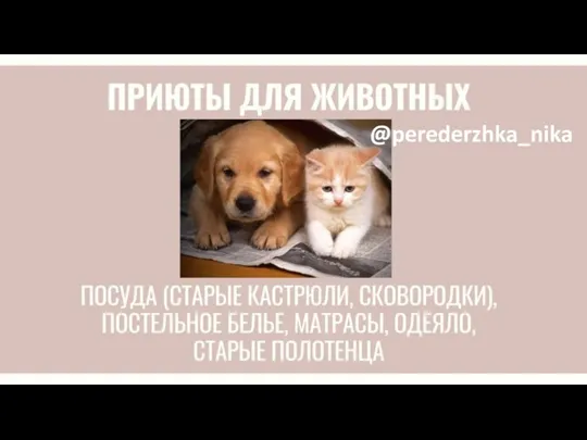 @perederzhka_nika