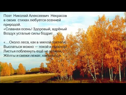 Поэт Николай Алексеевич Некрасов в своих стихах любуется осенней природой. «Славная осень!