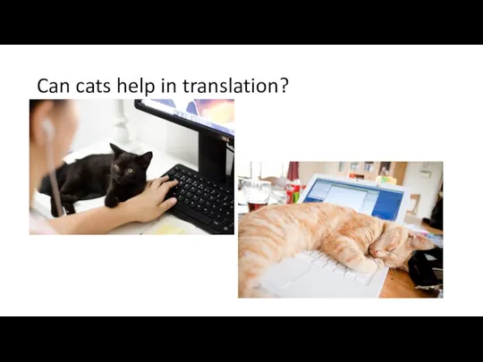 Can cats help in translation?