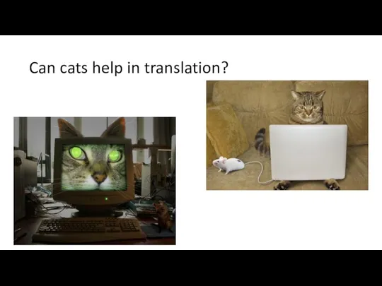 Can cats help in translation?