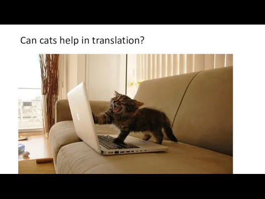 Can cats help in translation?