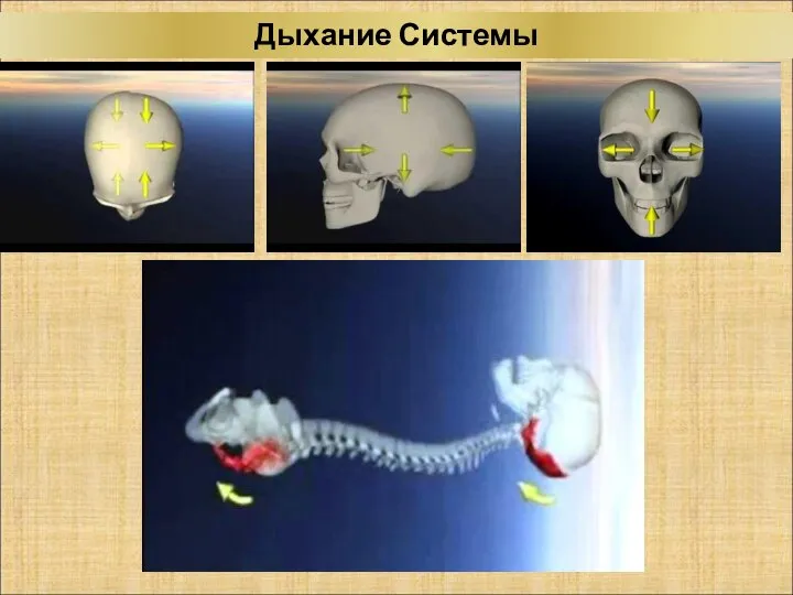 Дыхание Системы