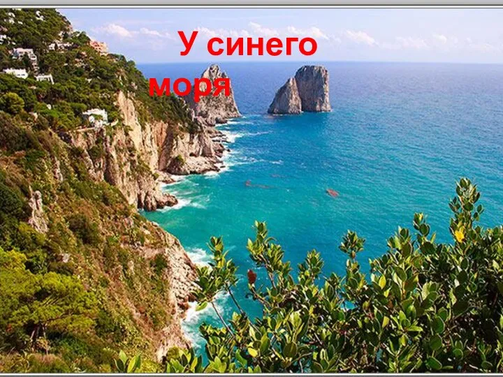 У синего моря