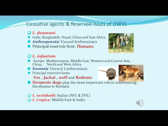 Causative agents & Reservoir hosts of OWVL L. donovani India, Bangladesh, Nepal,