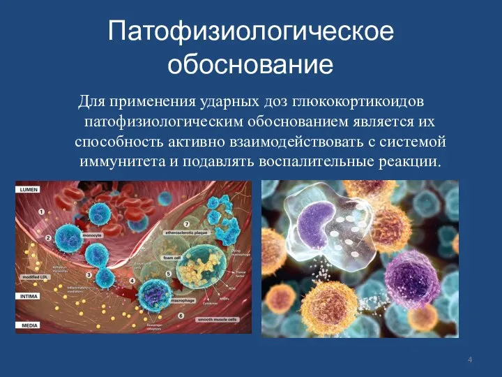 Патофизиологическое обоснование Для применения ударных доз глюкокортикоидов патофизиологическим обоснованием является их способность