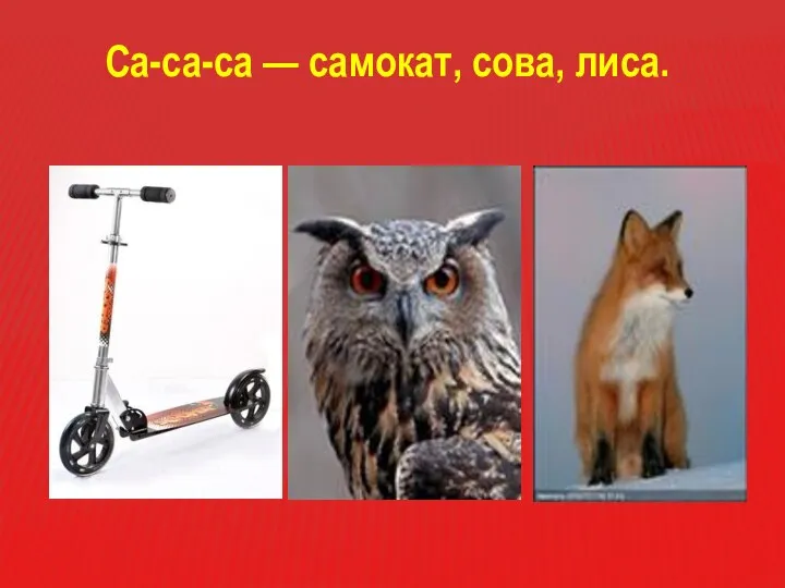 Са-са-са — самокат, сова, лиса.