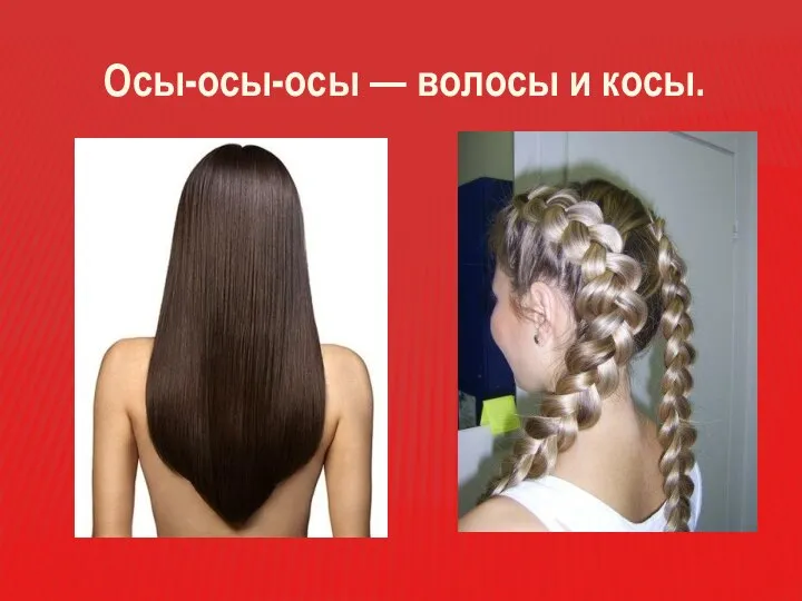 Осы-осы-осы — волосы и косы.