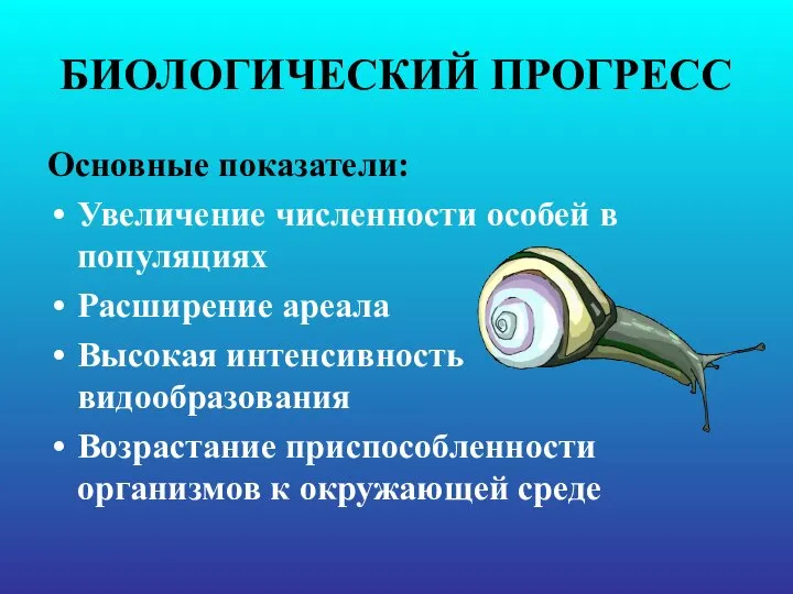 БИОЛОГИЧЕСКИЙ ПРОГРЕСС Основные показатели: Увеличение численности особей в популяциях Расширение ареала Высокая