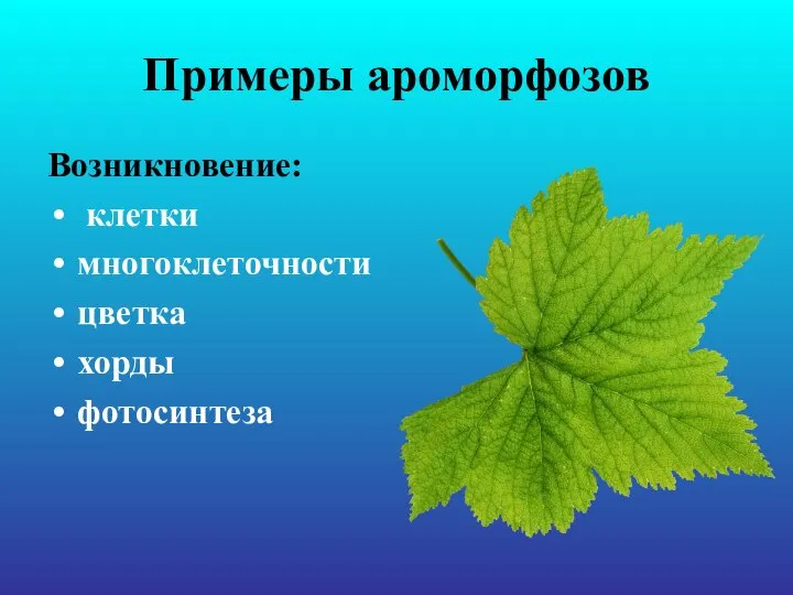 Примеры ароморфозов Возникновение: клетки многоклеточности цветка хорды фотосинтеза