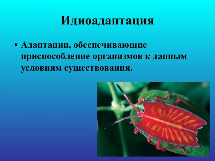Идиоадаптация Адаптации, обеспечивающие приспособление организмов к данным условиям существования.