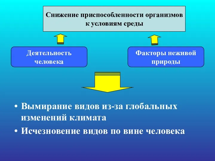 Вымирание видов из-за глобальных изменений климата Исчезновение видов по вине человека Снижение