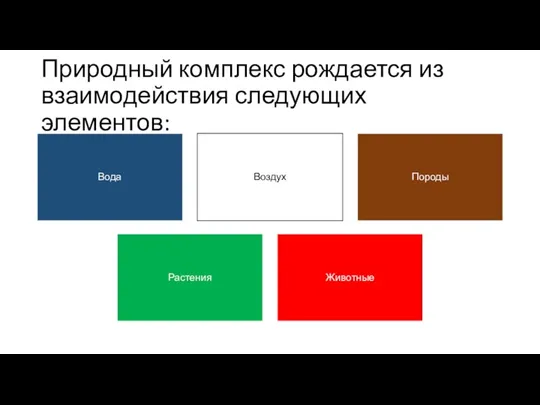 Природный комплекс рождается из взаимодействия следующих элементов: Вода Воздух Породы Растения Животные