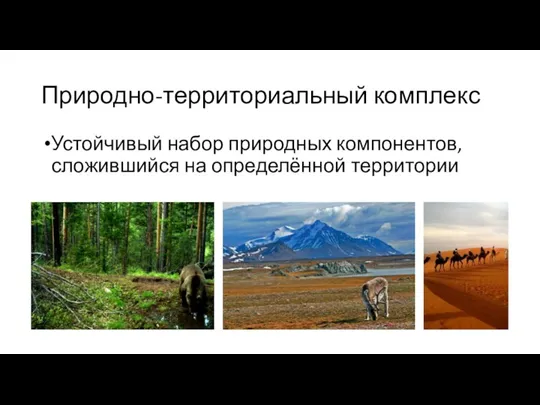 Природно-территориальный комплекс Устойчивый набор природных компонентов, сложившийся на определённой территории