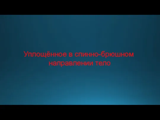 Уплощённое в спинно-брюшном направлении тело