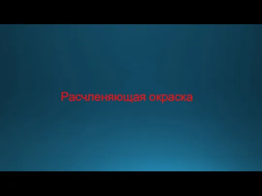 Расчленяющая окраска