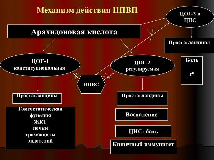 Механизм действия НПВП Арахидоновая кислота ЦОГ-1 конституциональная ЦОГ-3 в ЦНС ЦОГ-2 регулируемая