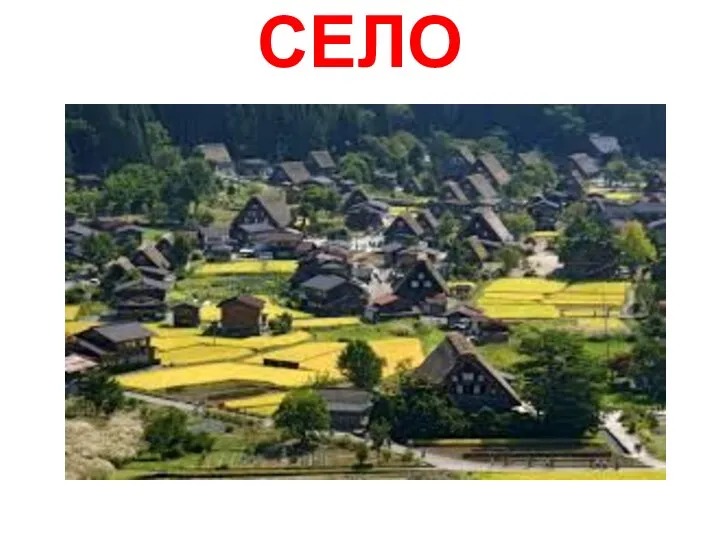 СЕЛО