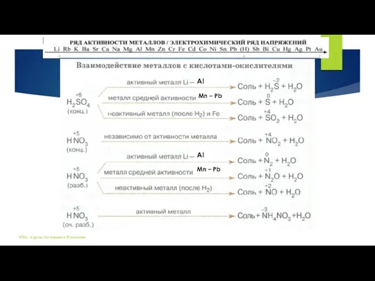 ViTa - курсы по химии и биологии Al Mn – Pb Al Mn – Pb