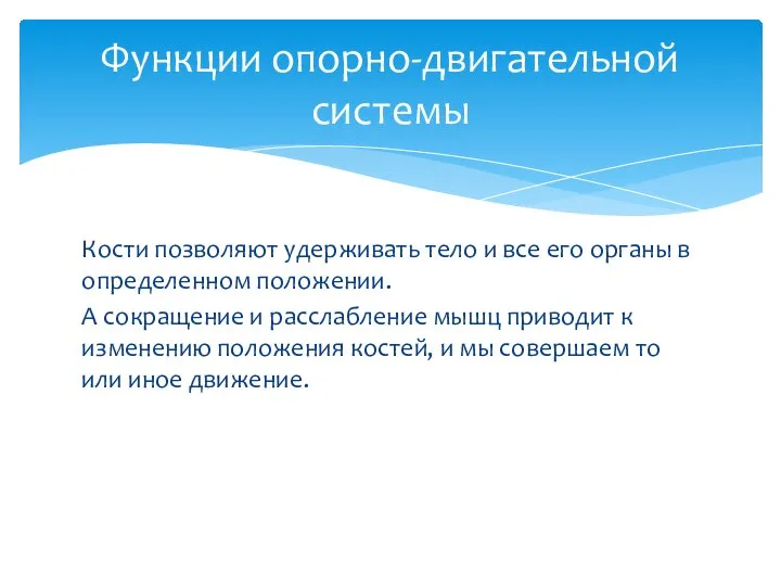 Кости позволяют удерживать тело и все его органы в определенном положении. А