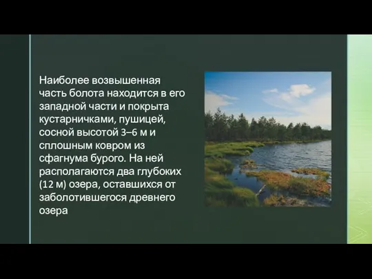 Наиболее возвышенная часть болота находится в его западной части и покрыта кустарничками,