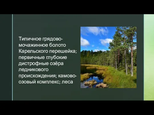 Типичное грядово-мочажинное болото Карельского перешейка; первичные глубокие дистрофные озёра ледникового происхождения; камово-озовый комплекс; леса