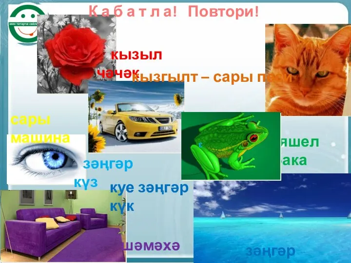 кызыл чәчәк кызгылт – сары песи сары машина яшел бака зәңгәр күз