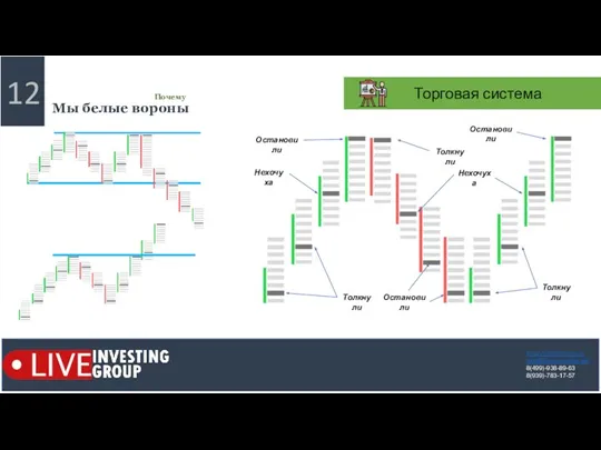 12 Мы белые вороны Почему https://liveinvesting.ru mail@liveinvesting.info 8(499)-938-89-63 8(939)-783-17-57 Толкнули Нехочуха Остановили