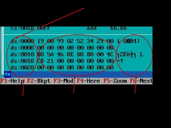 Побайтовое отображение памяти с ds:0 адреса памяти содержимое по адресам памяти символьный код байтов