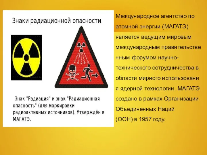 Международное агентство по атомной энергии (МАГАТЭ) является ведущим мировым международным правительственным форумом