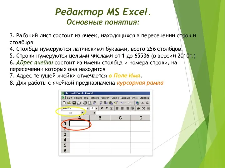 Редактор MS Excel. Основные понятия: 3. Рабочий лист состоит из ячеек, находящихся