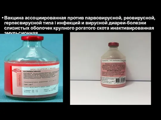 Вакцина ассоциированная против парвовирусной, реовирусной, герпесвирусной типа I инфекций и вирусной диареи-болезни