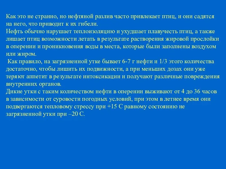 Как это не странно, но нефтяной разлив часто привлекает птиц, и они