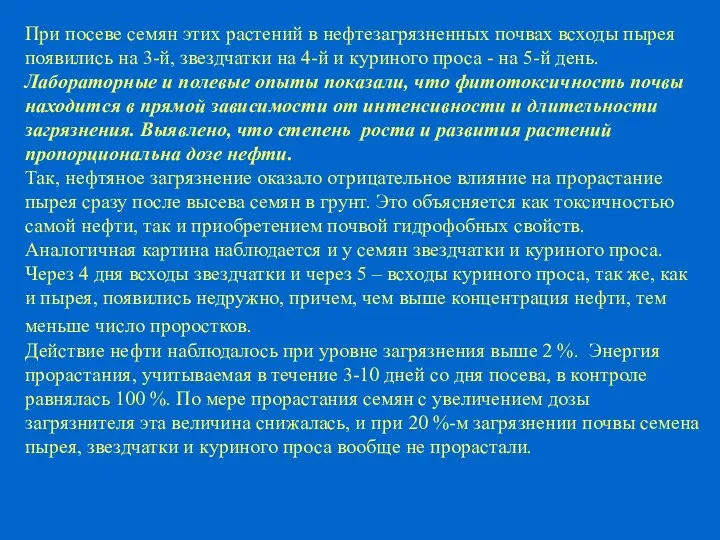 При посеве семян этих растений в нефтезагрязненных почвах всходы пырея появились на