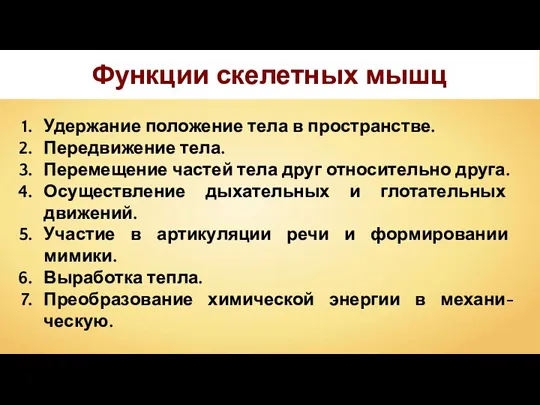 Функции скелетных мышц Удержание положение тела в пространстве. Передвижение тела. Перемещение частей