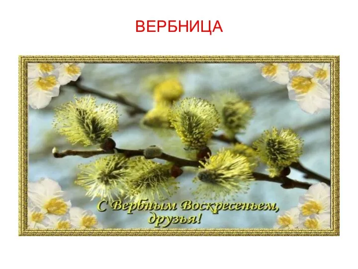 ВЕРБНИЦА