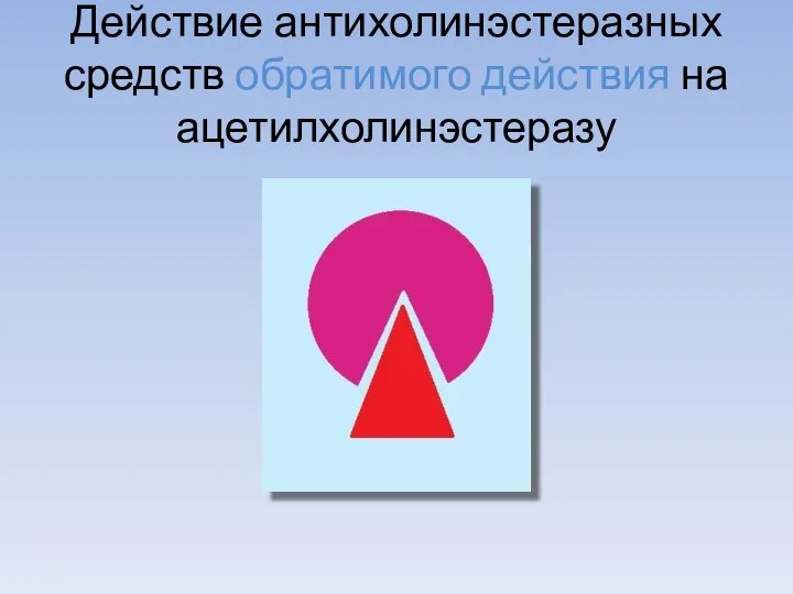 Действие антихолинэстеразных средств обратимого действия на ацетилхолинэстеразу