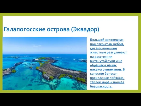 Галапогосские острова (Эквадор) Большой заповедник под открытым небом, где экзотические животные разгуливают