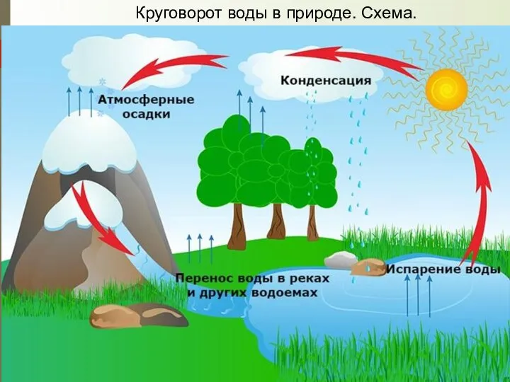 Круговорот воды в природе. Схема.