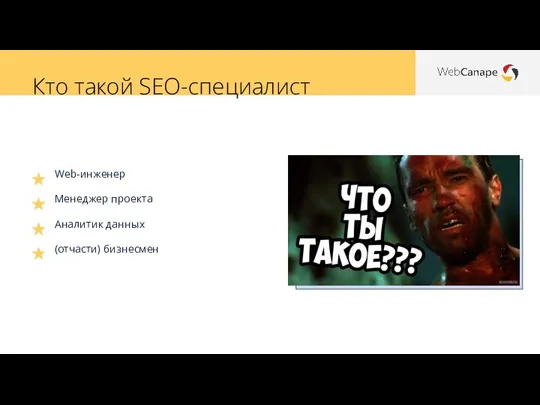 Кто такой SEO-специалист Web-инженер Менеджер проекта Аналитик данных (отчасти) бизнесмен