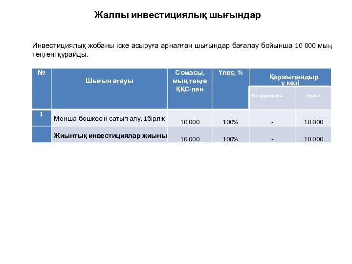 Жалпы инвестициялық шығындар Инвестициялық жобаны іске асыруға арналған шығындар бағалау бойынша 10 000 мың теңгені құрайды.