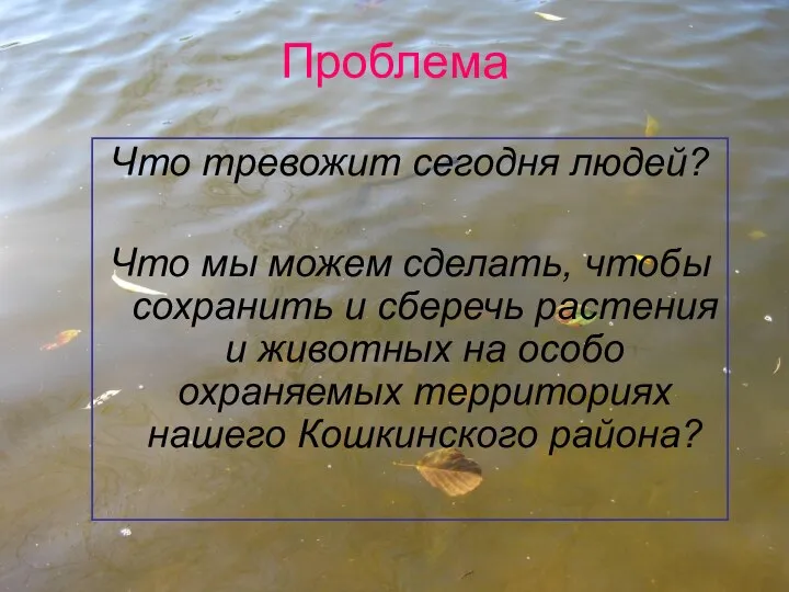 Проблема Что тревожит сегодня людей? Что мы можем сделать, чтобы сохранить и